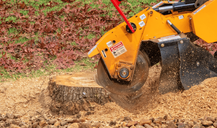 A-1 Trees and Land Services